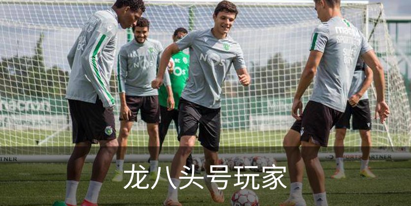 了解龙八头号玩家